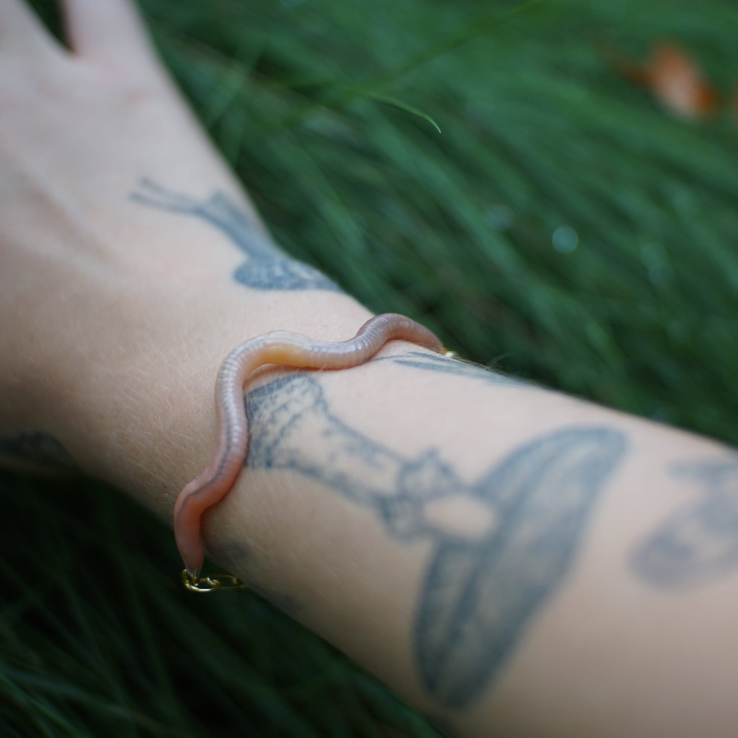 Worm Bracelet