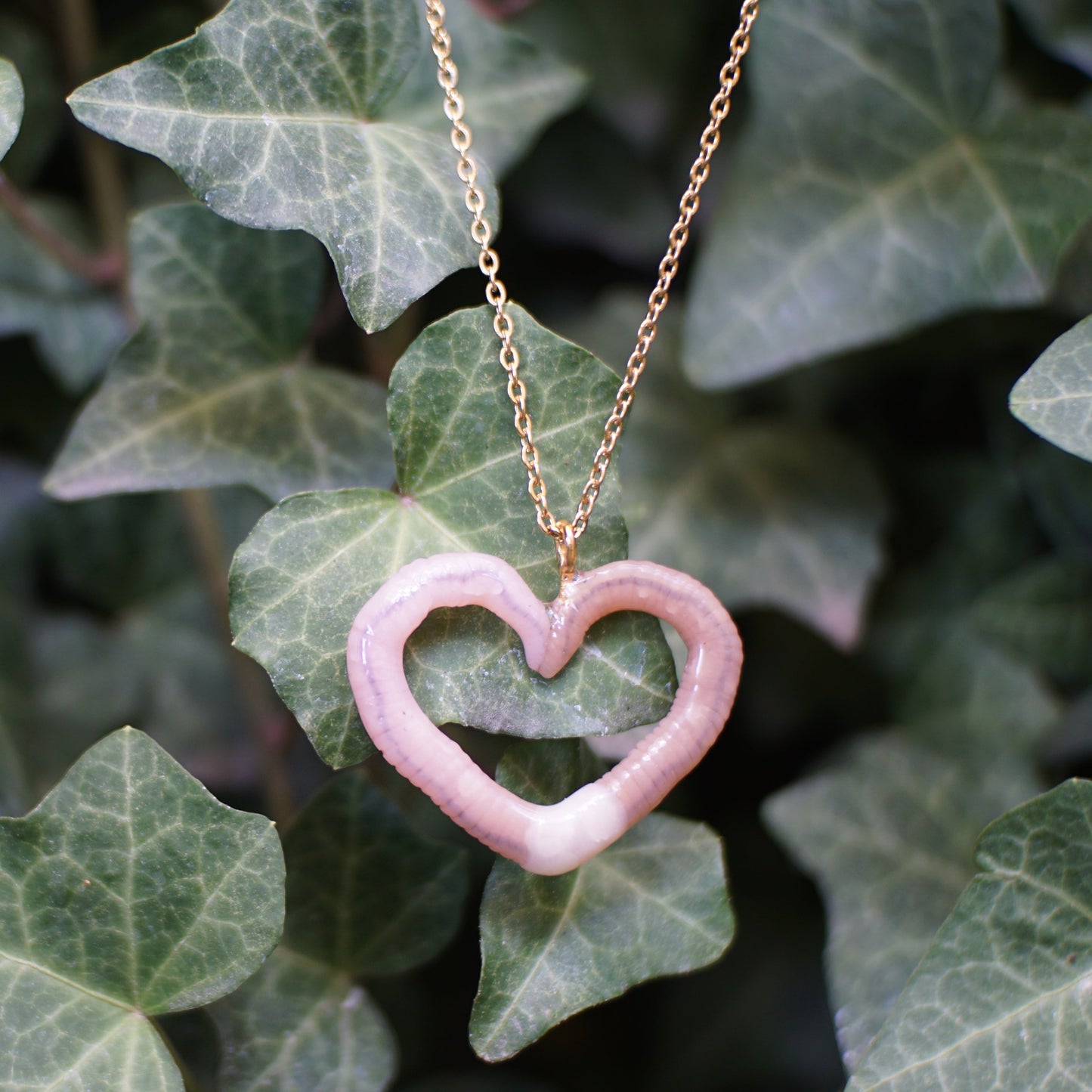 Heart Worm Necklace