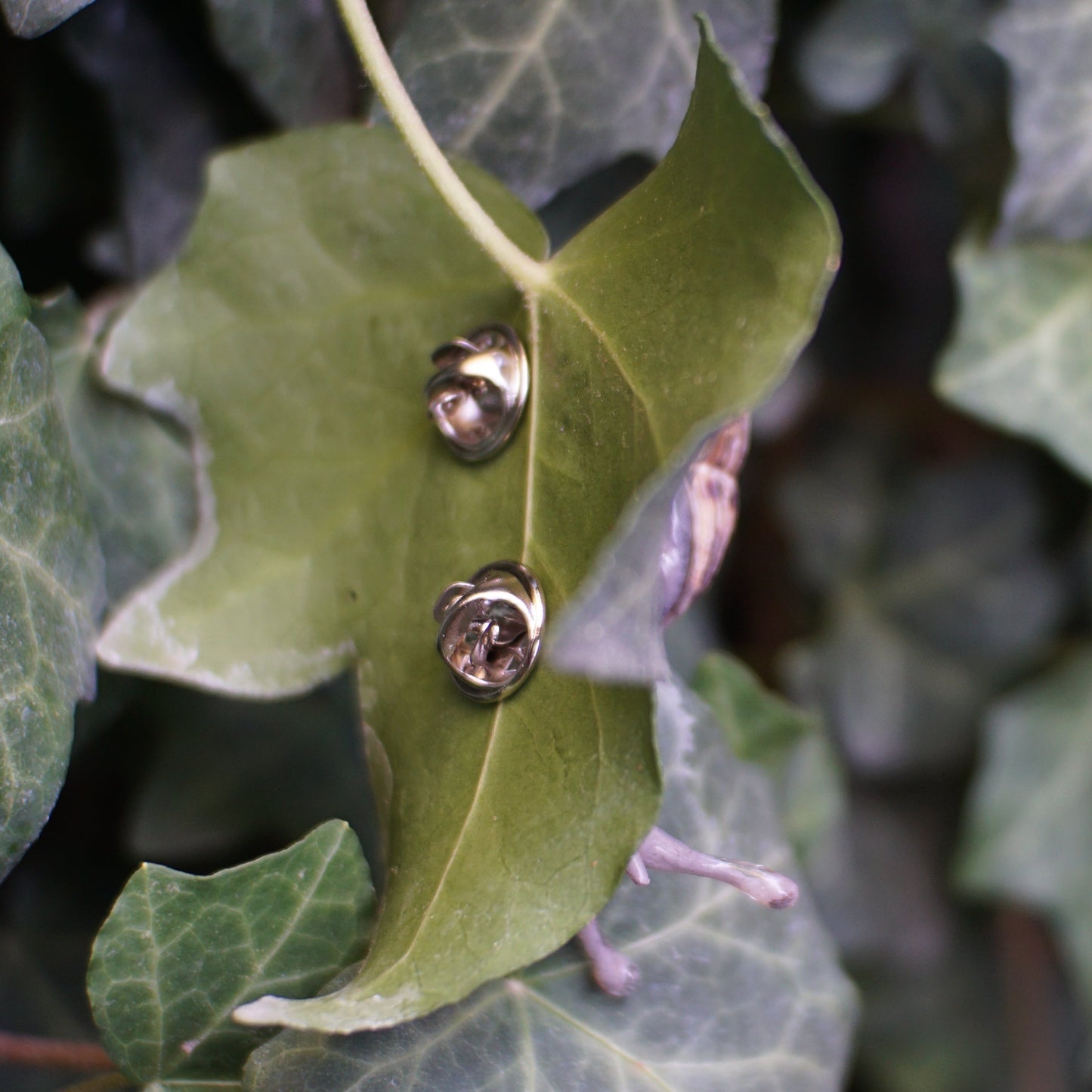 Snail Pin