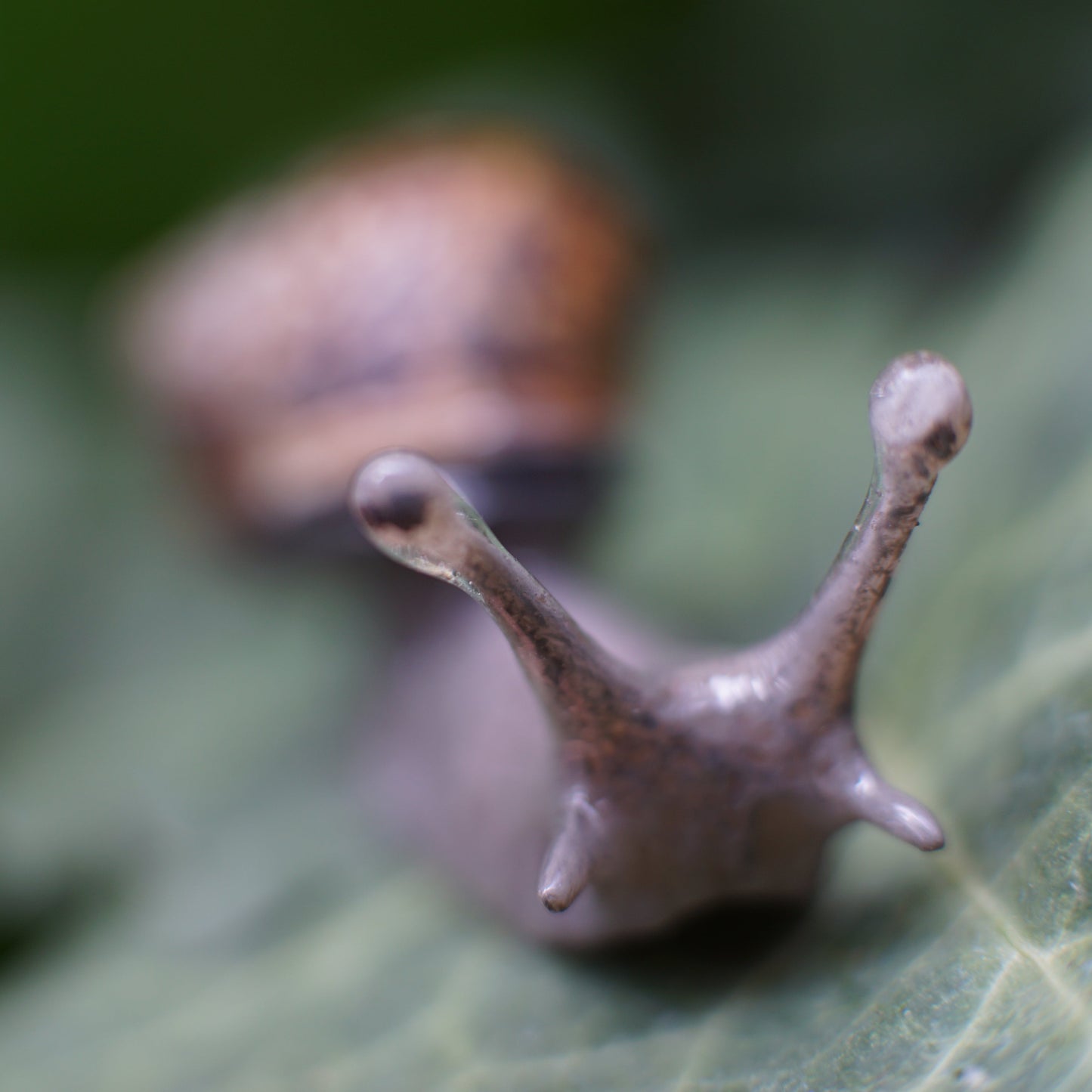 Snail Pin