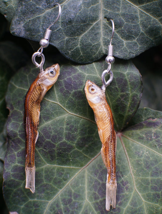 Fish Earrings