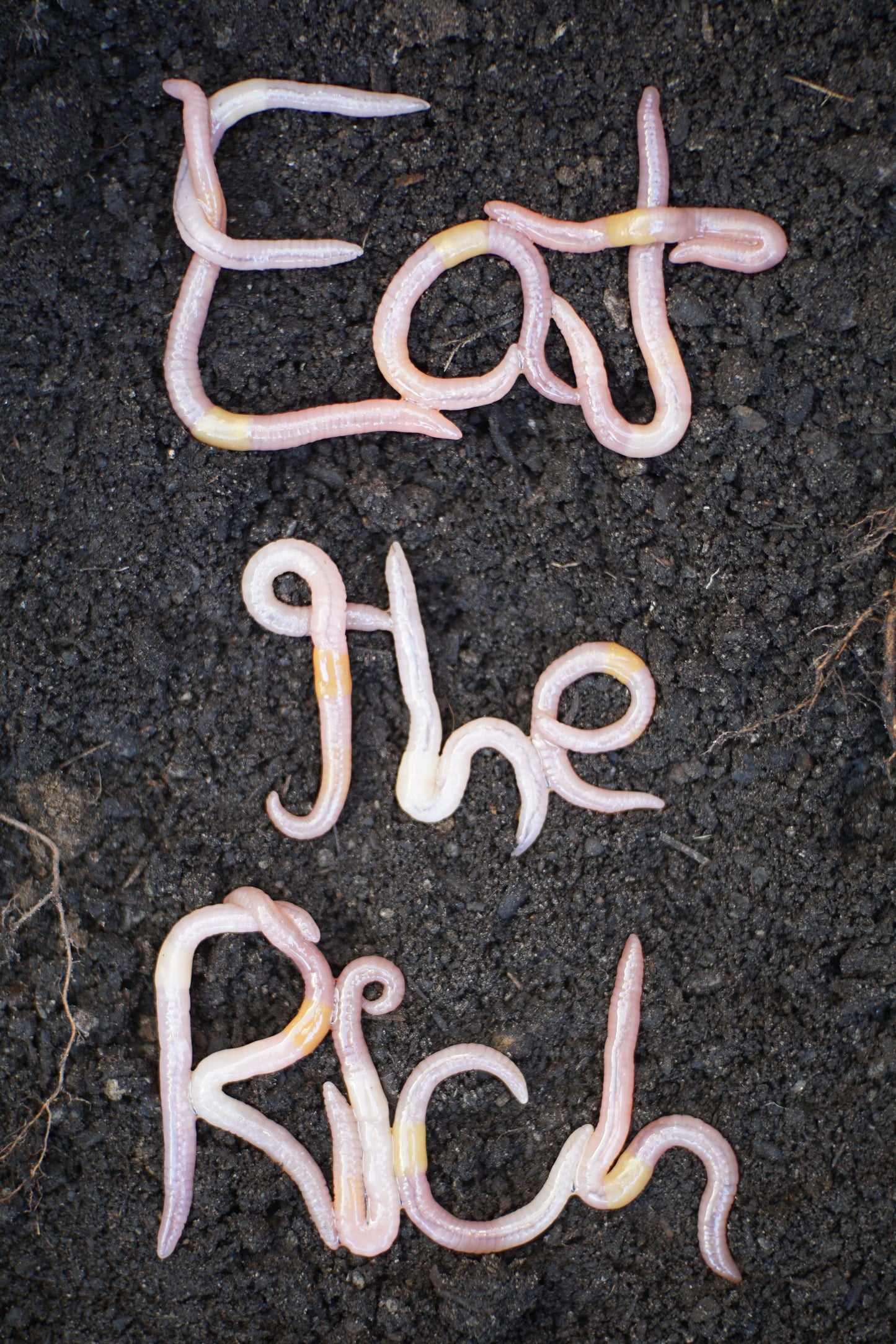 Eat the Rich Sticker