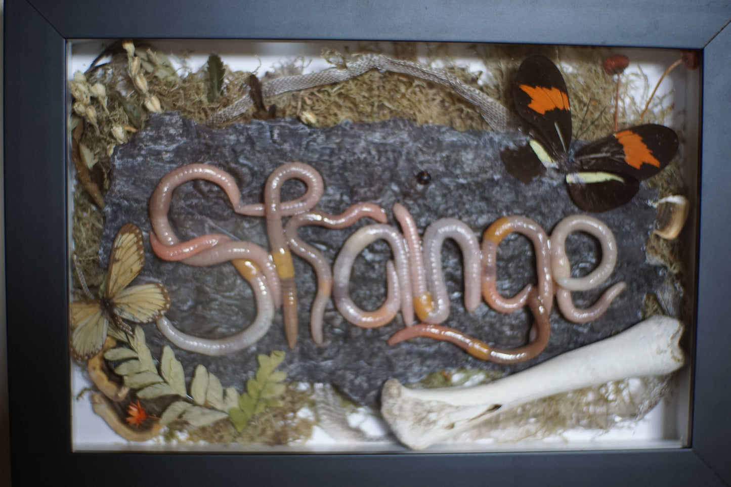 Custom Shadowbox for Greta