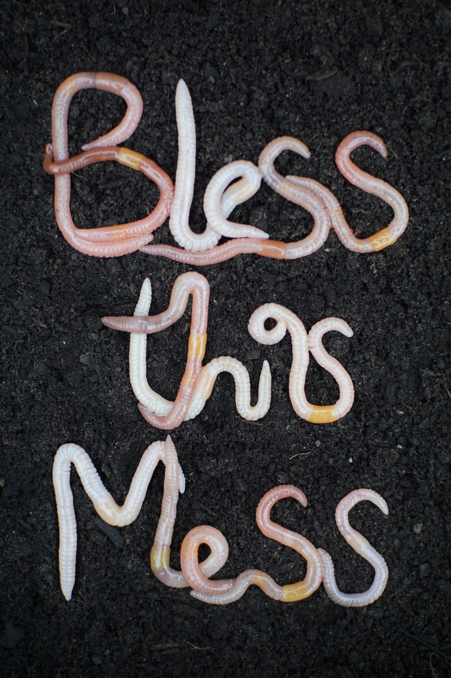 Bless This Mess sticker