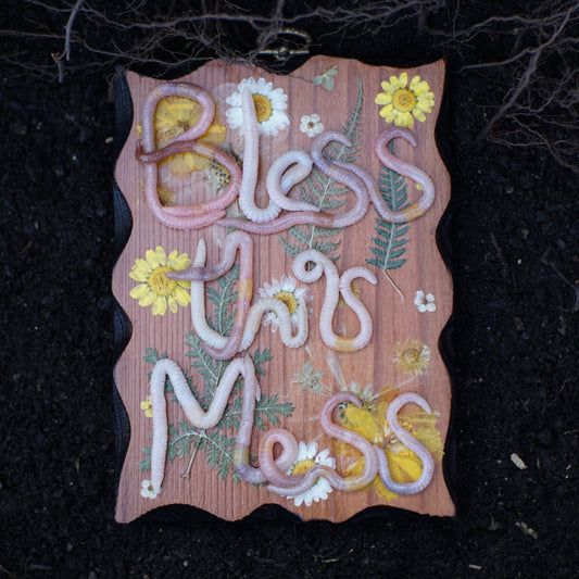 "Bless this Mess" Plaque