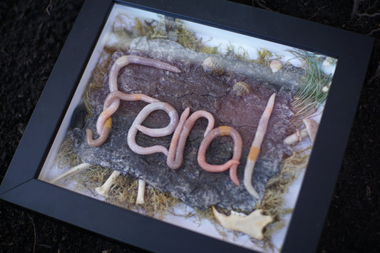 "Feral" Shadowbox