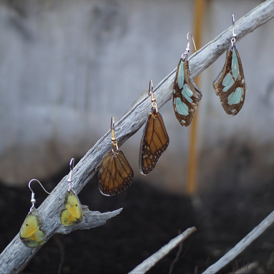 Butterfly Wing Earrings