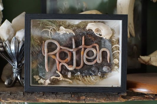 "Rotten" Shadowbox