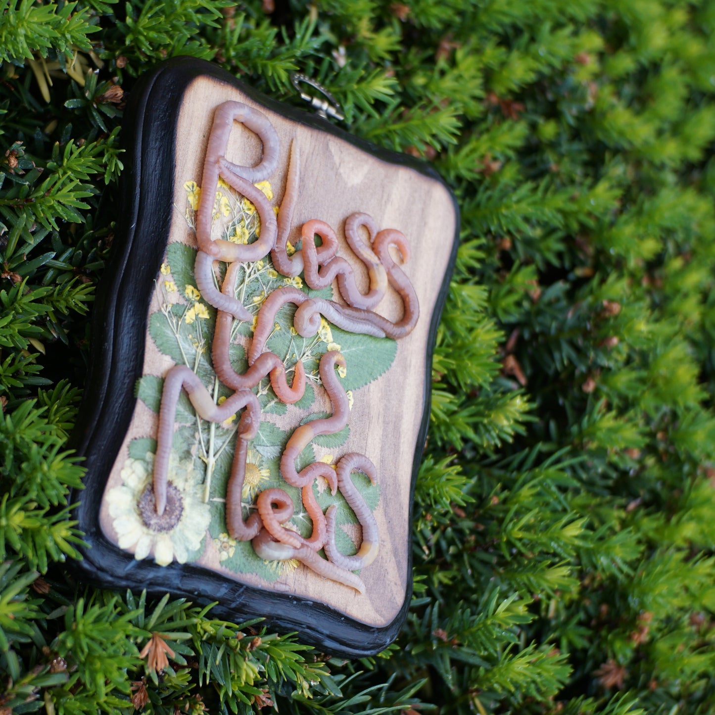 "Bless this Mess" Plaque