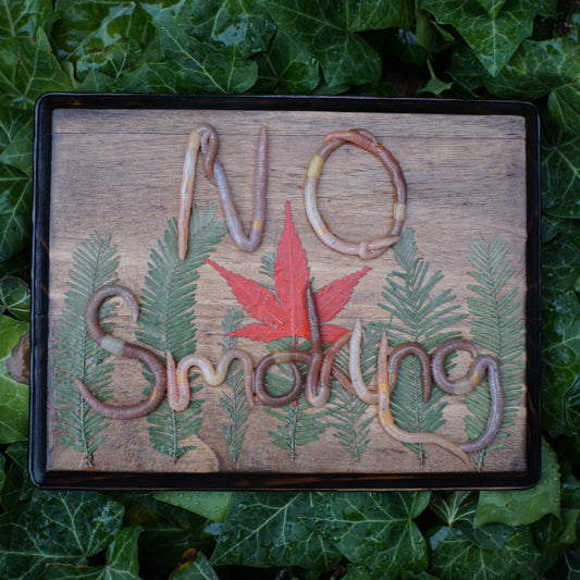 NO Smoking Plaque