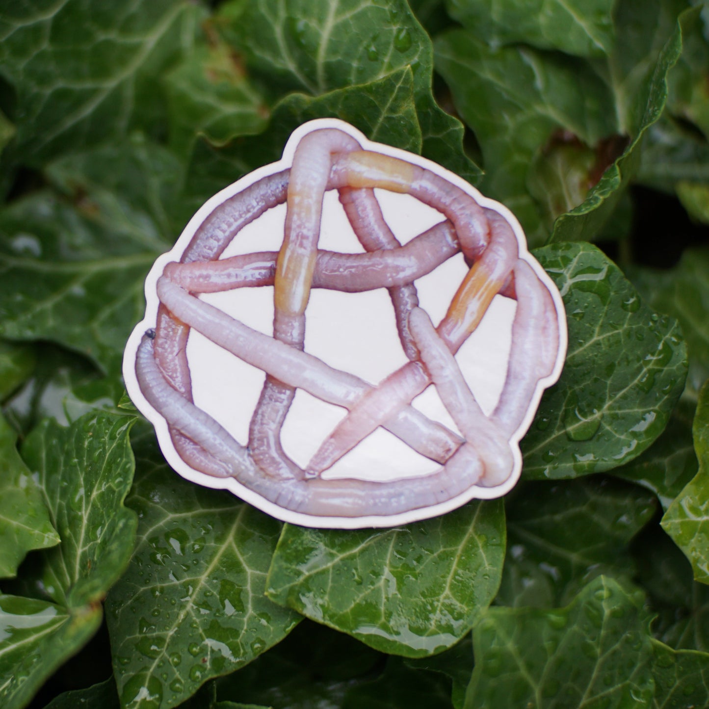 Pentagram Worm Sticker