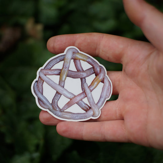 Pentagram Worm Sticker