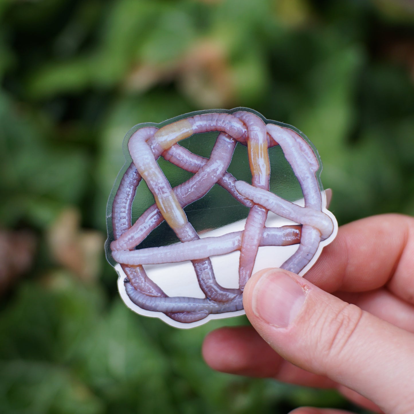 Pentagram Worm Sticker