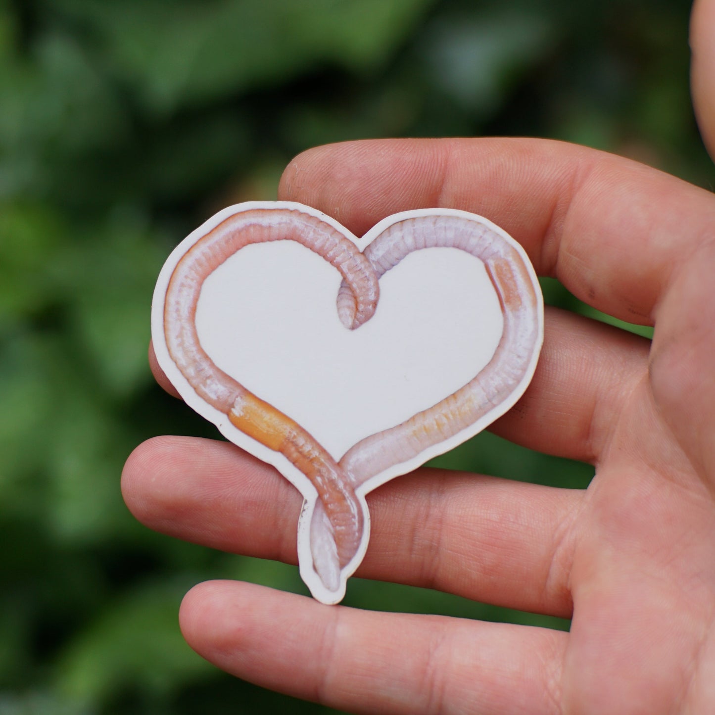 Heart Worm Sticker