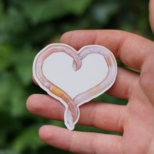 Heart Worm Sticker