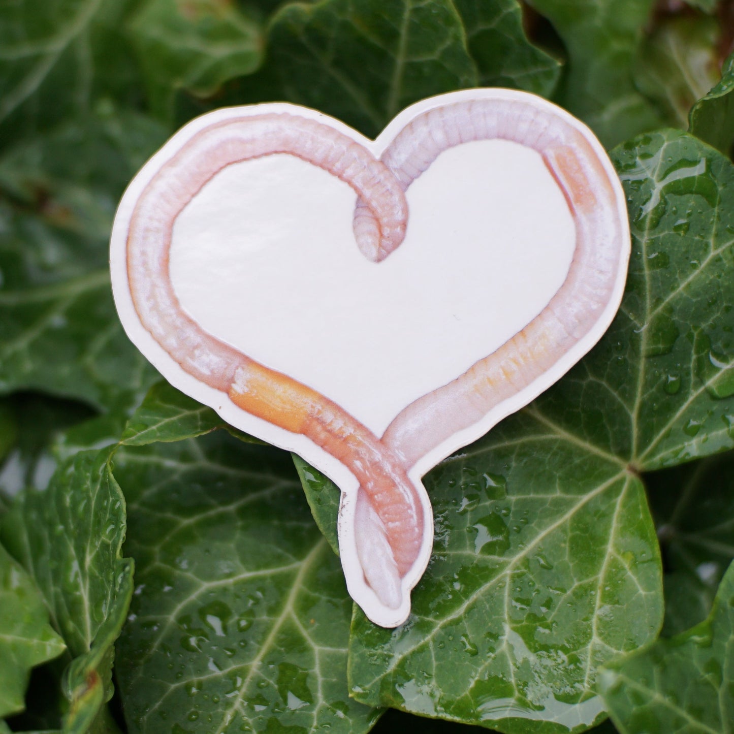 Heart Worm Sticker
