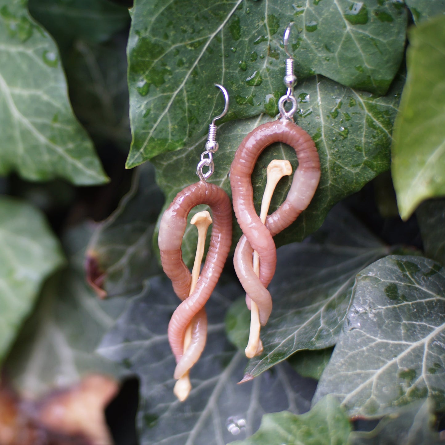 Bone Ear Worms