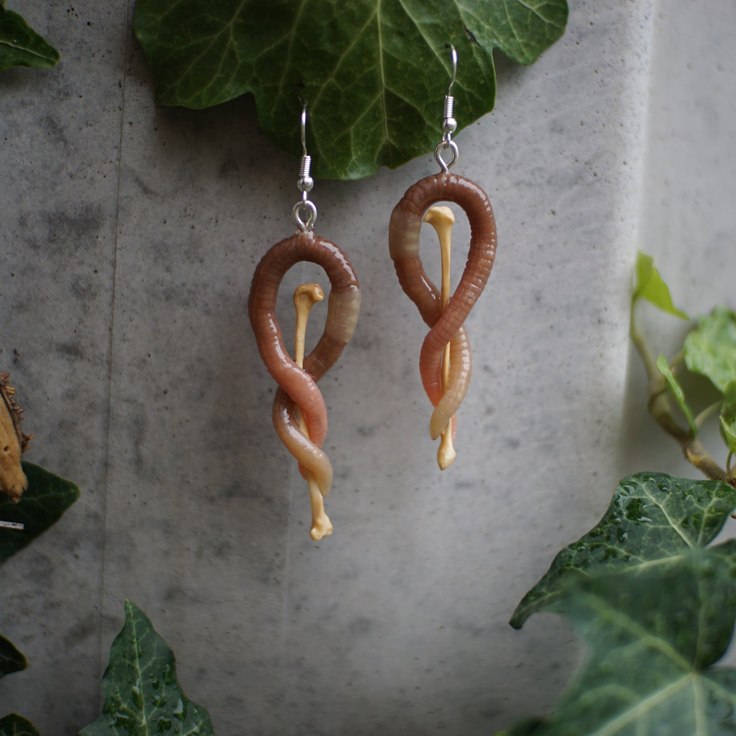 Bone Ear Worms