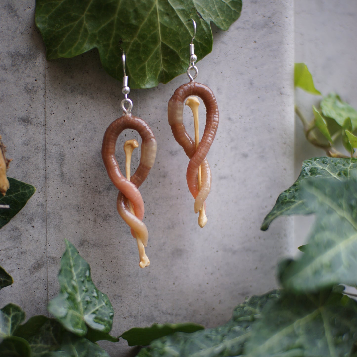 Bone Ear Worms