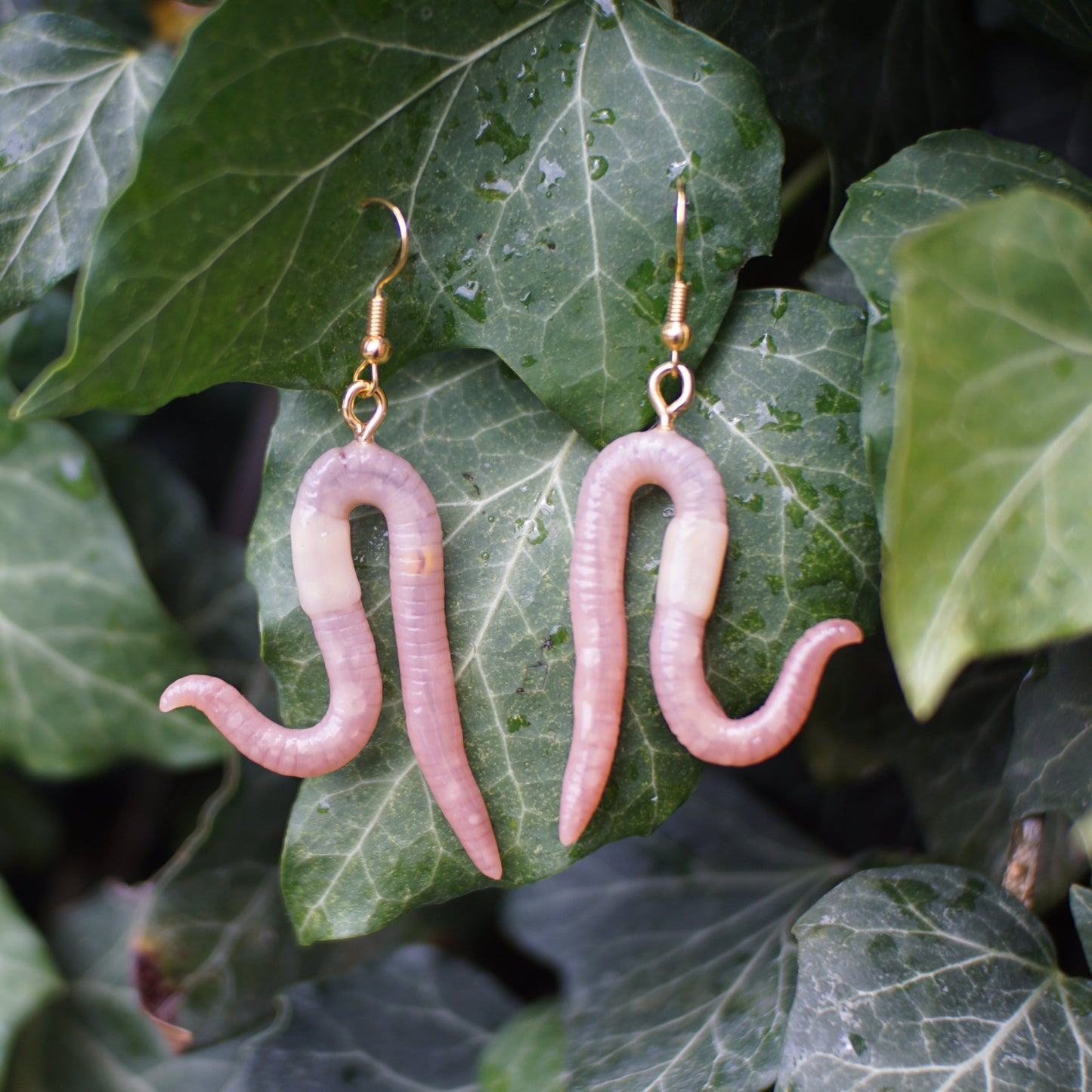 Squirmy Ear Worms