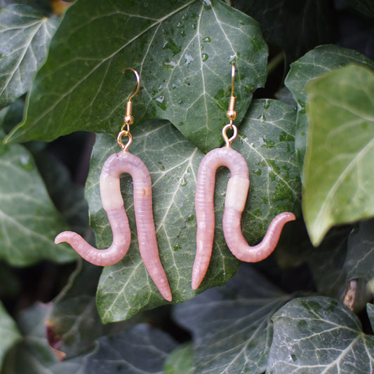 Squirmy Ear Worms