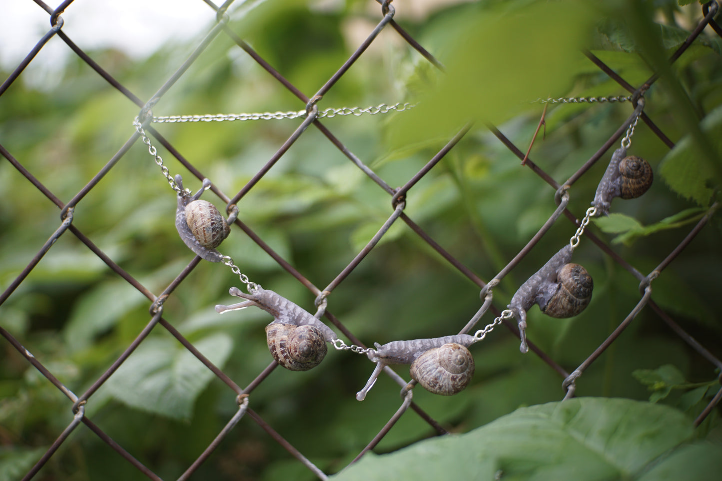 Snail Chain Necklace