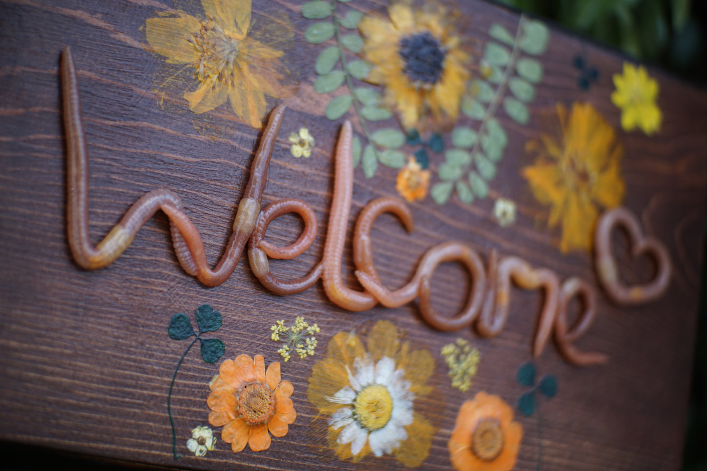 Welcome Plaque