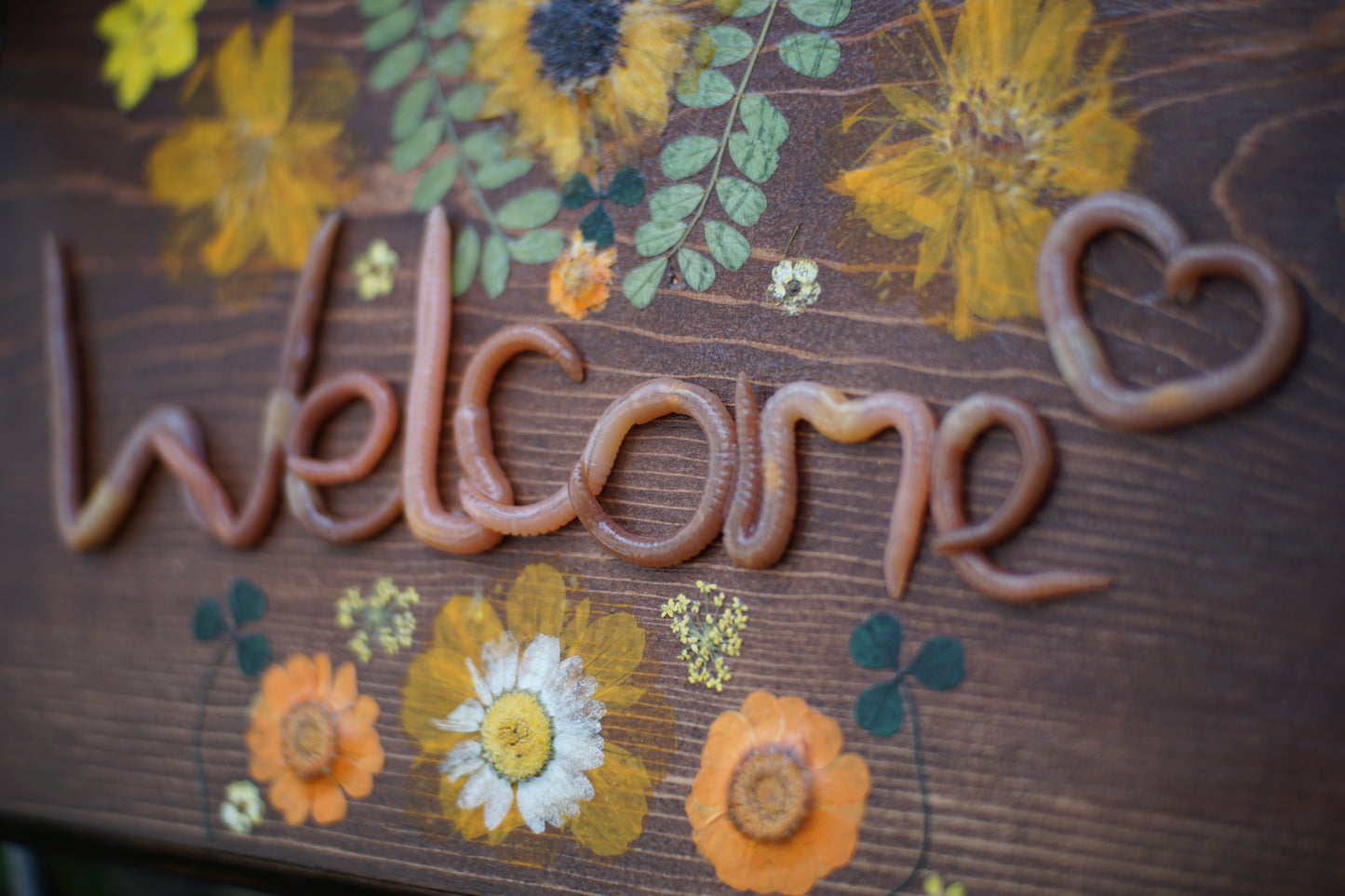 Welcome Plaque