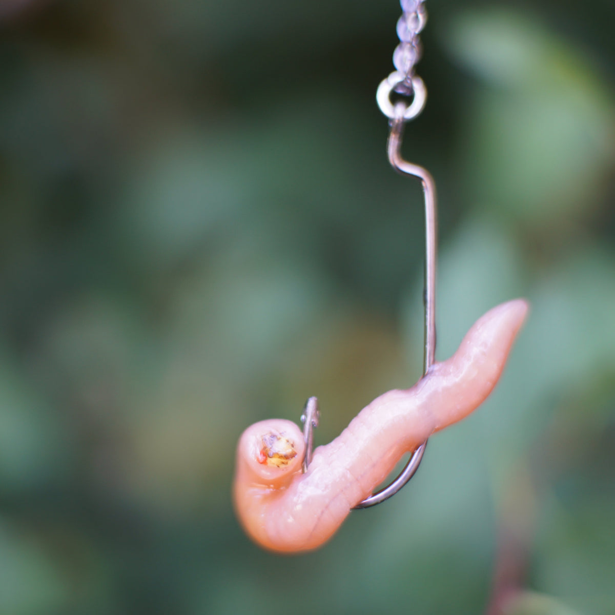 Bait Necklace