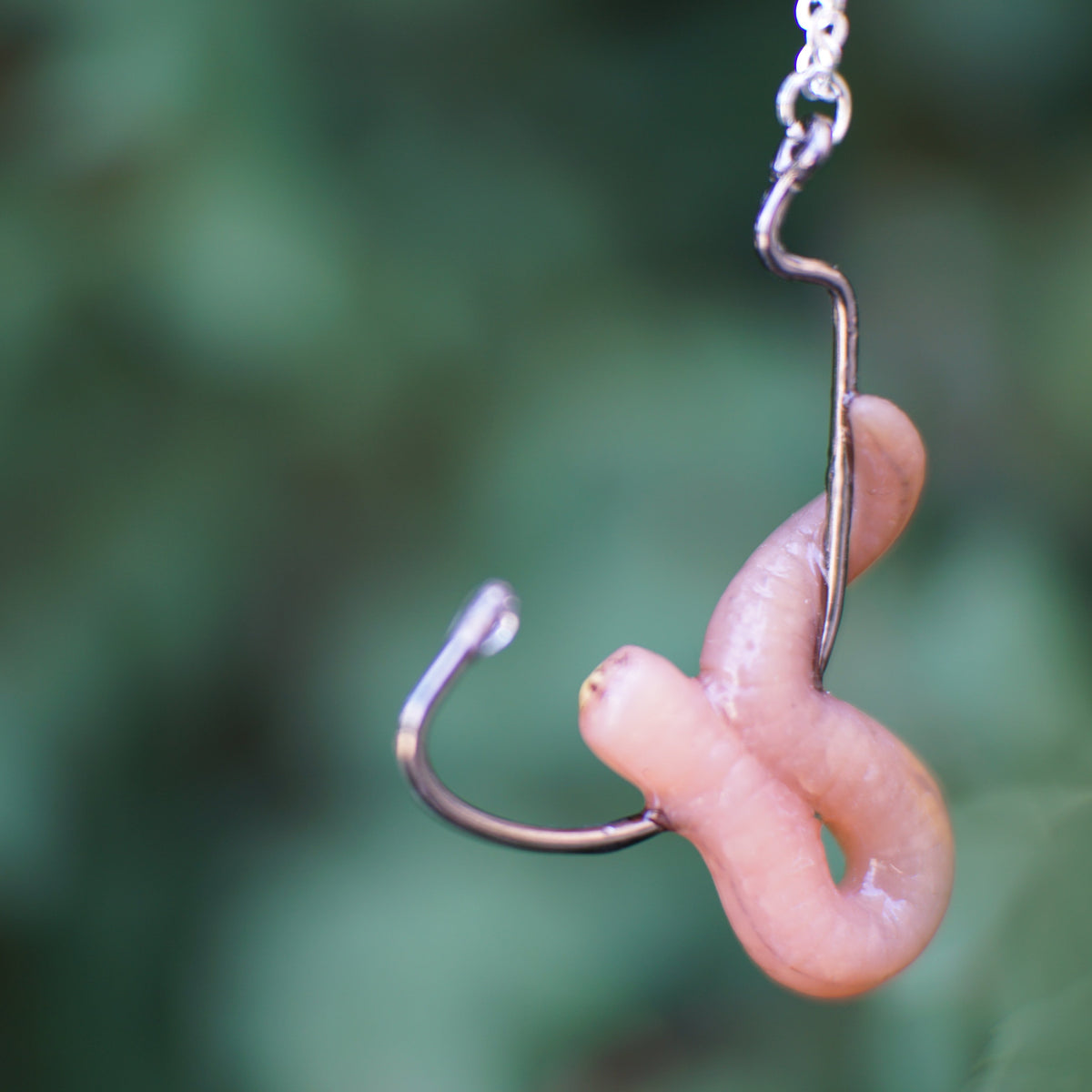 Bait Necklace