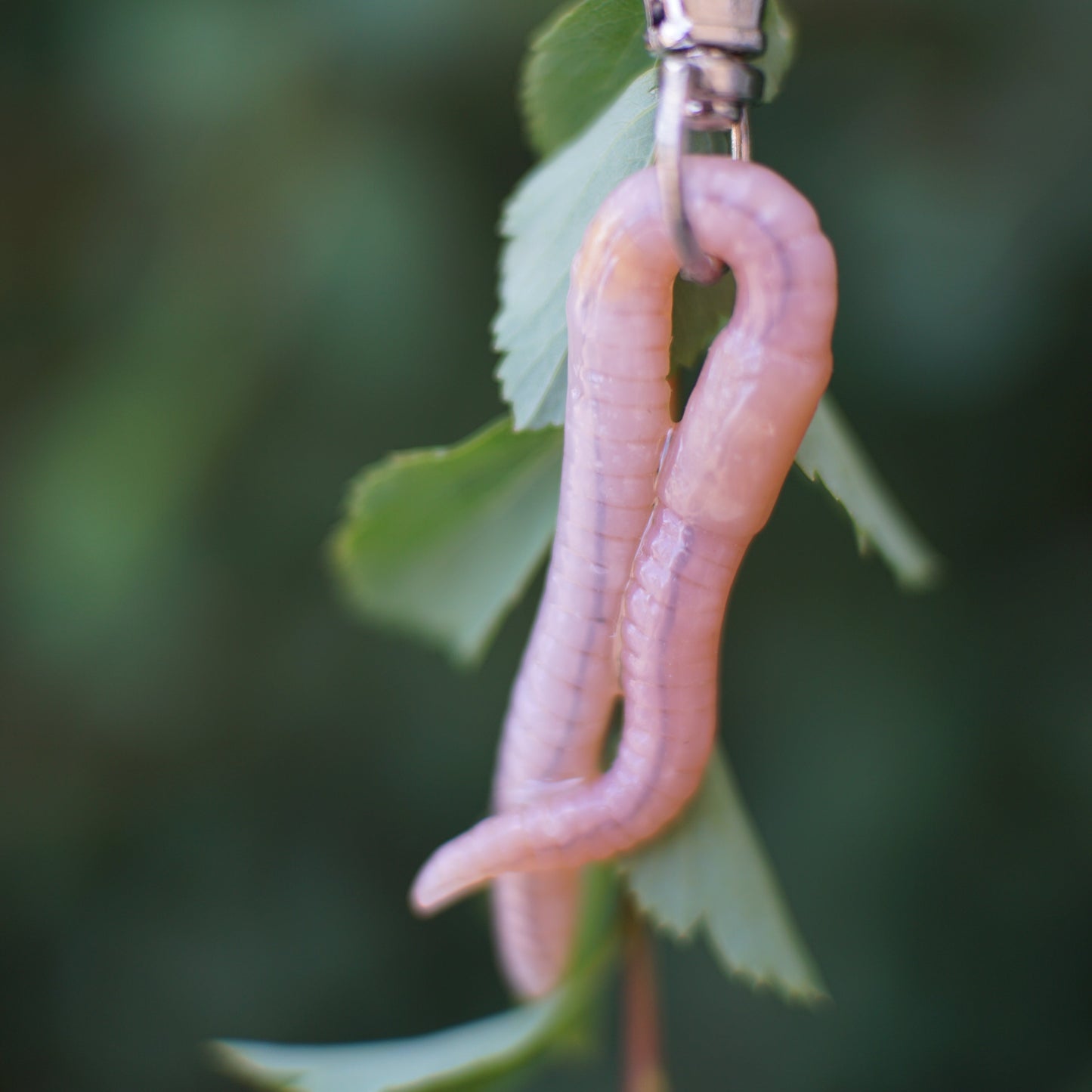 Worm Keychain