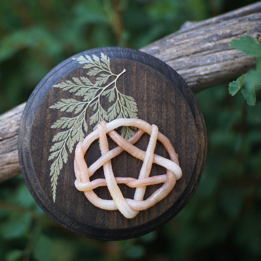 Pentagram Plaques