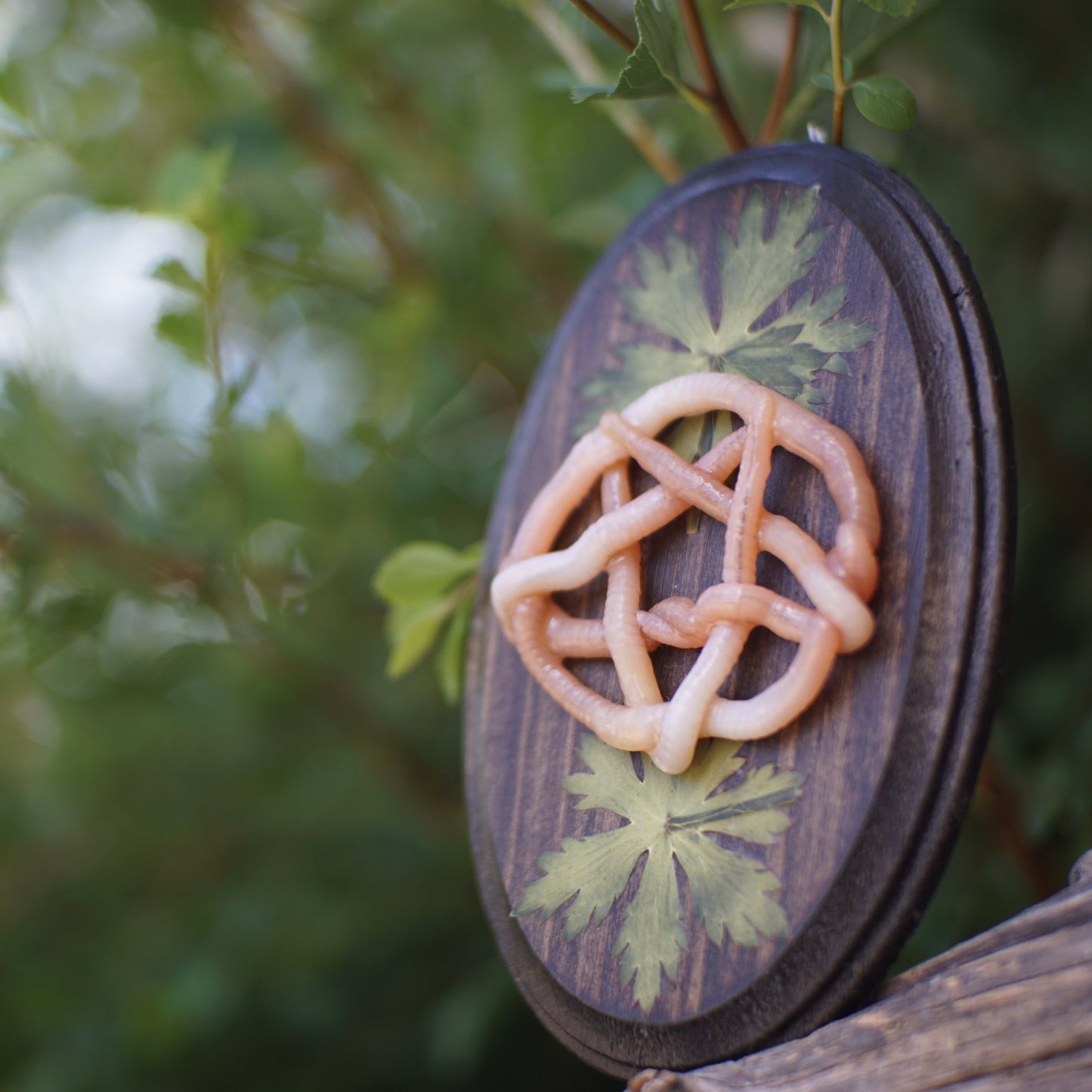 Pentagram Plaques