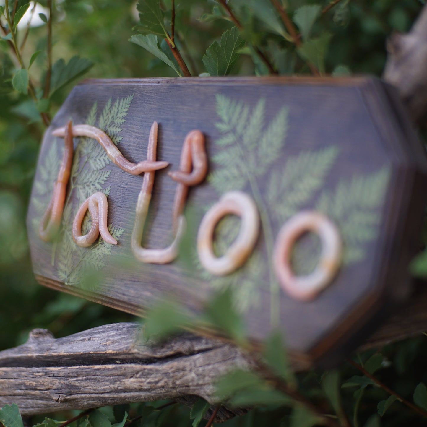 "Tattoo" Plaque