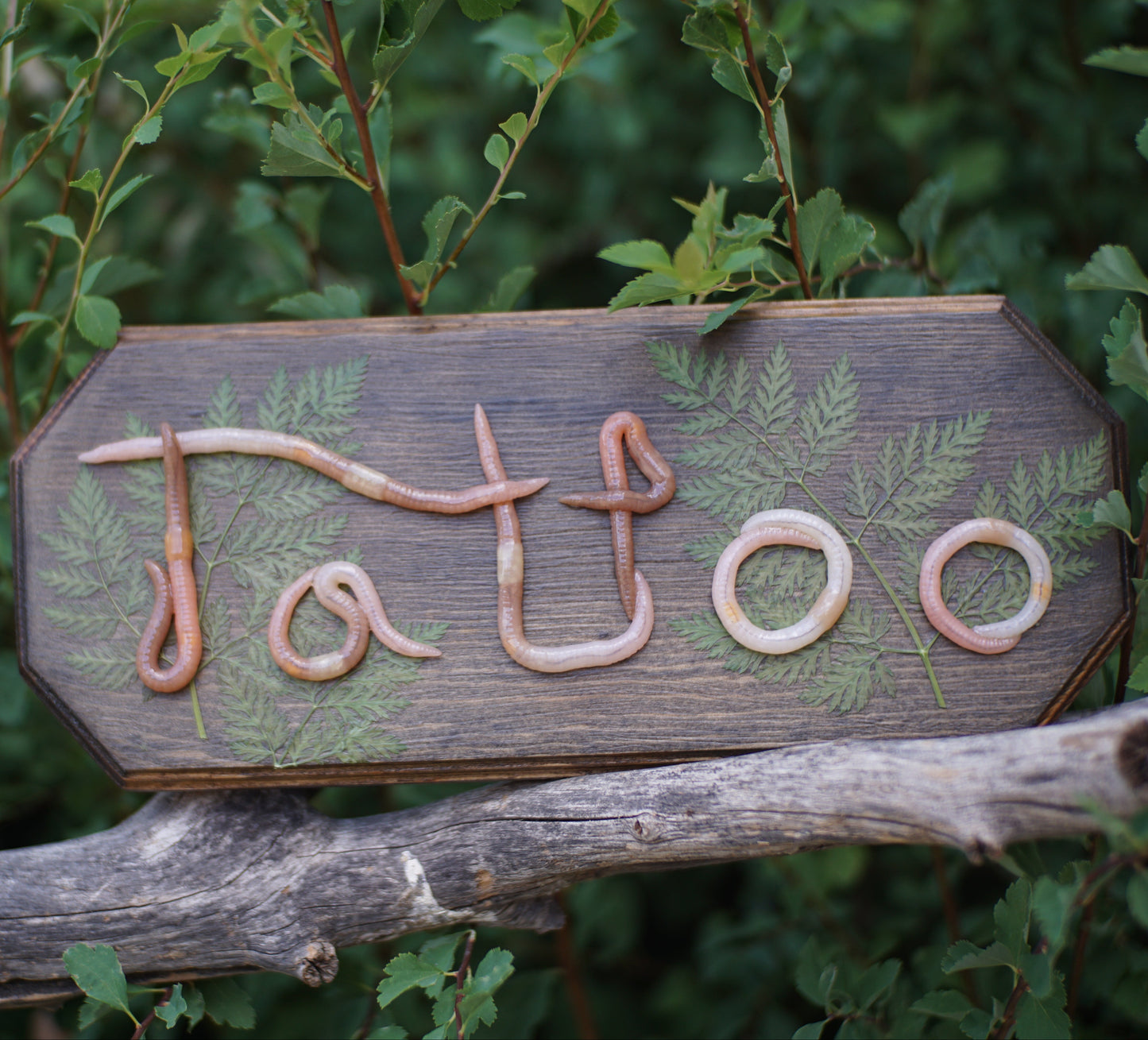 "Tattoo" Plaque