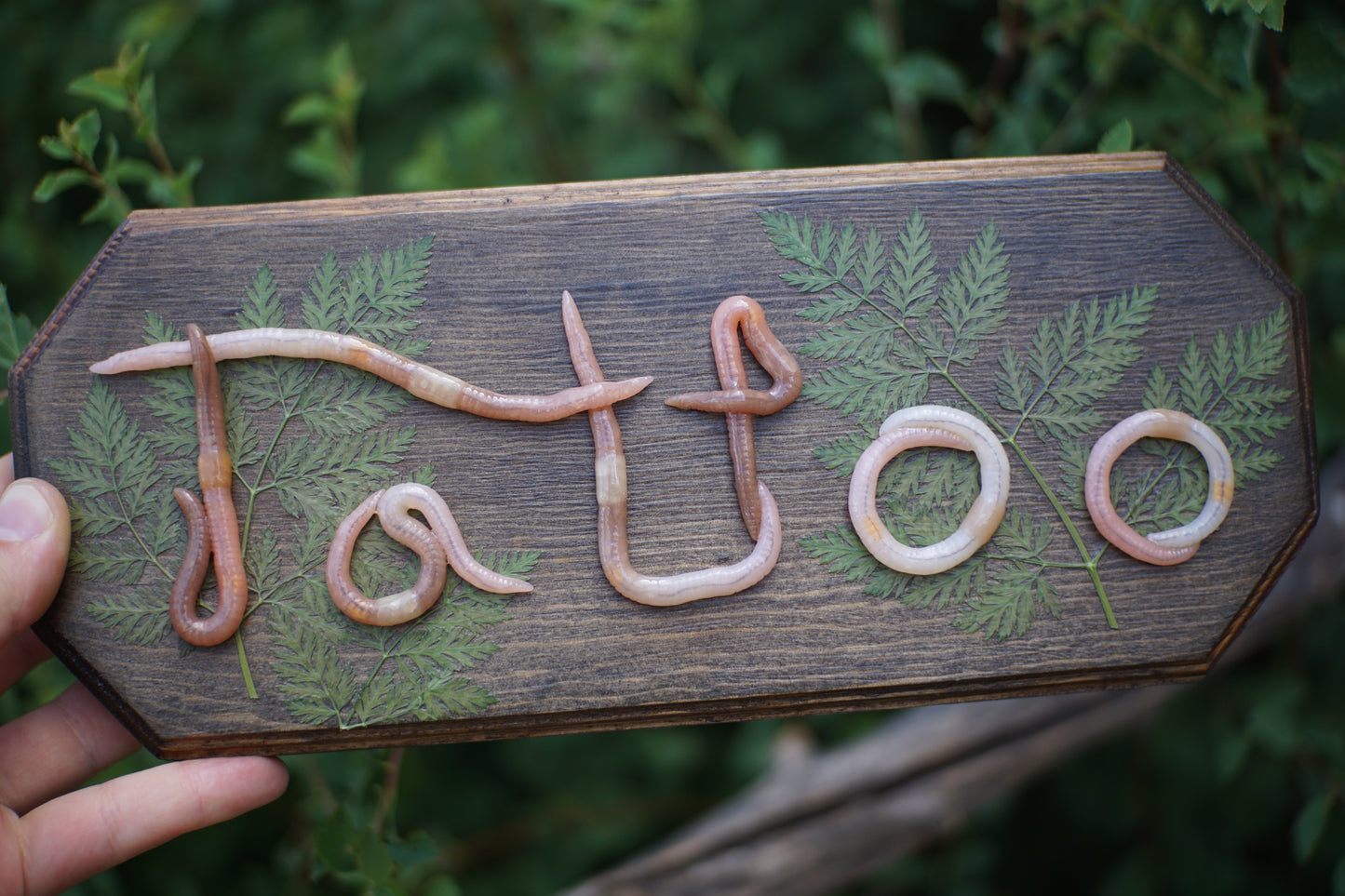 "Tattoo" Plaque