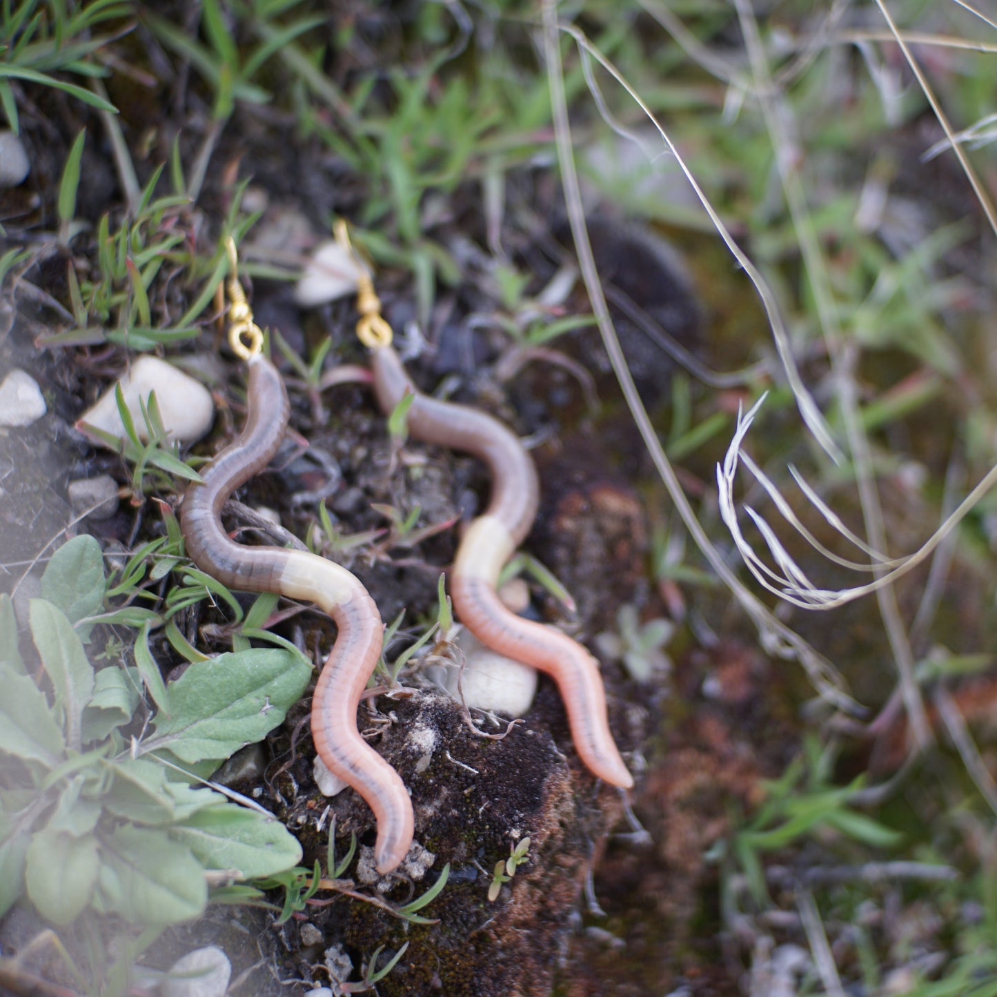 Long Worm Earrings