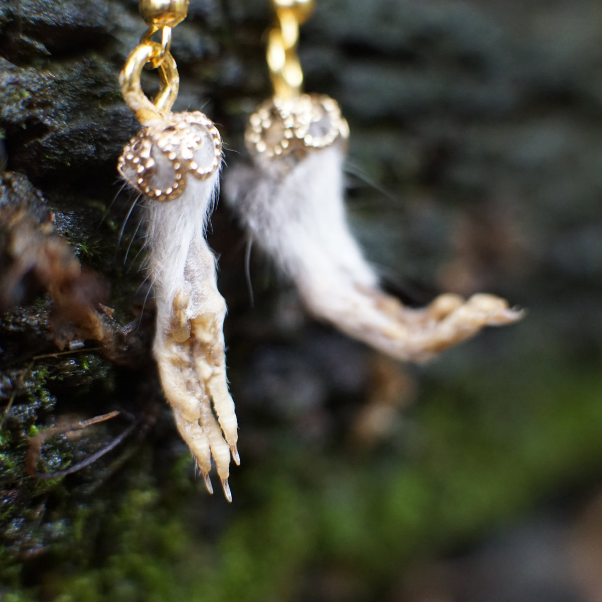 Rat Paw Earrings