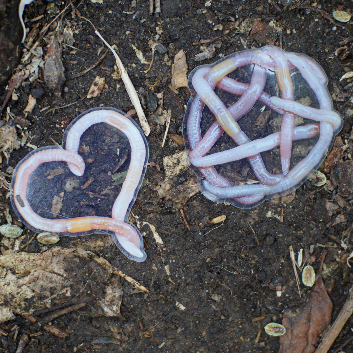 Worm Shape Stickers