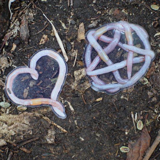 Worm Shape Stickers