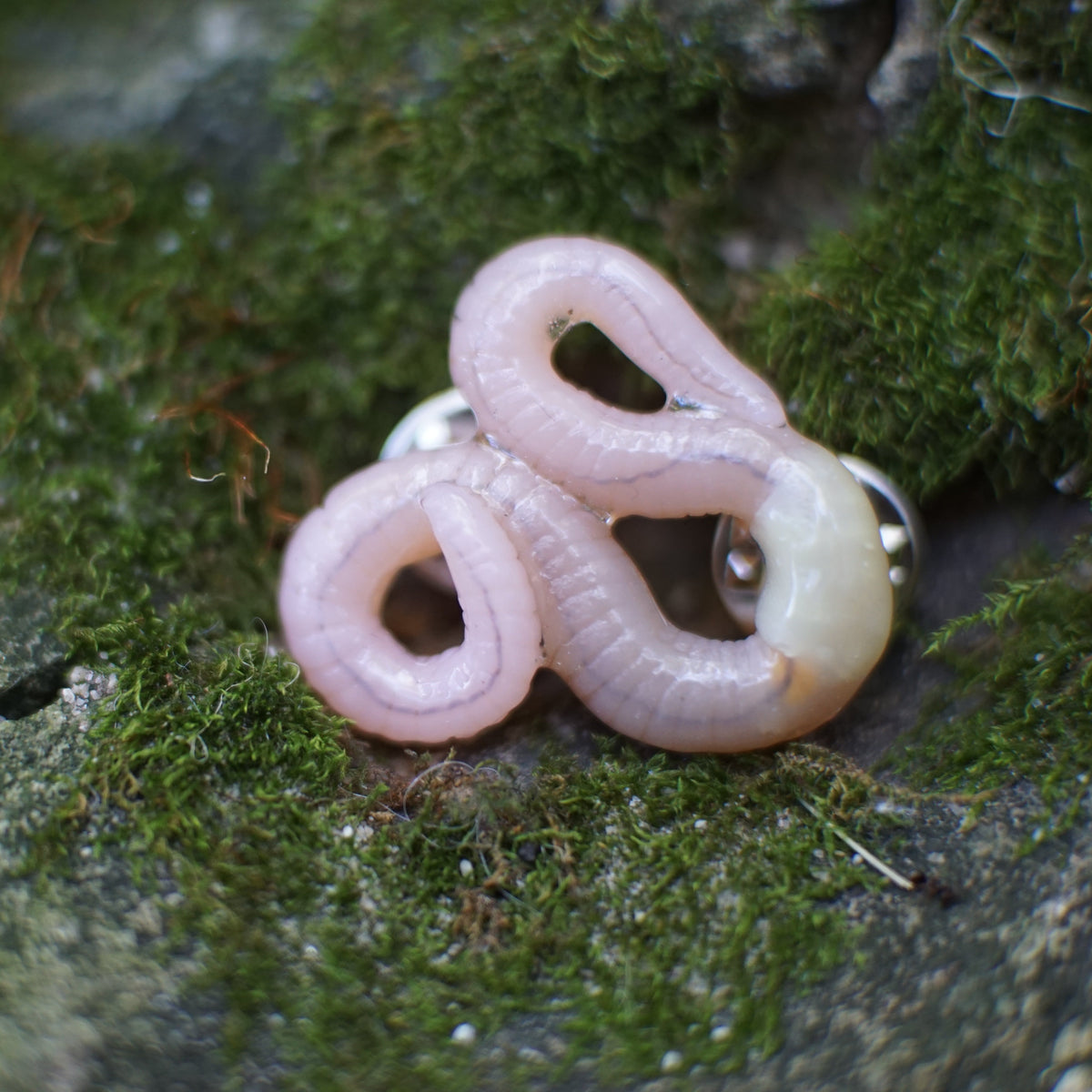 Pin Worm