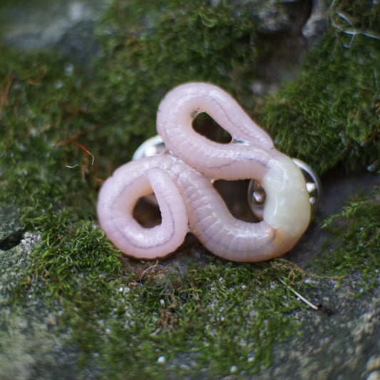 Pin Worm