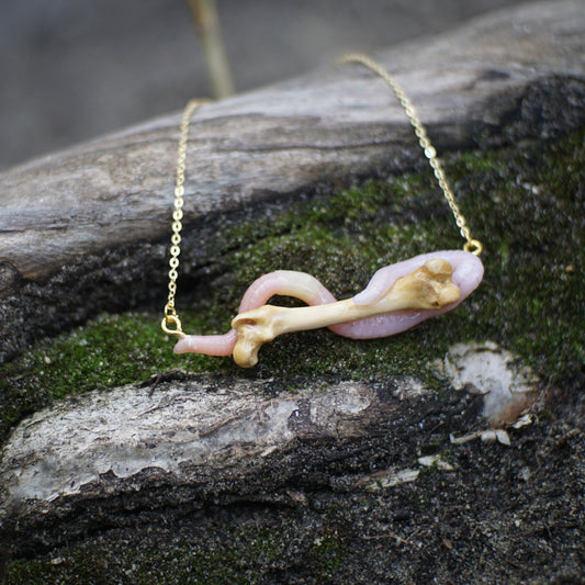 Bone Worm Necklace