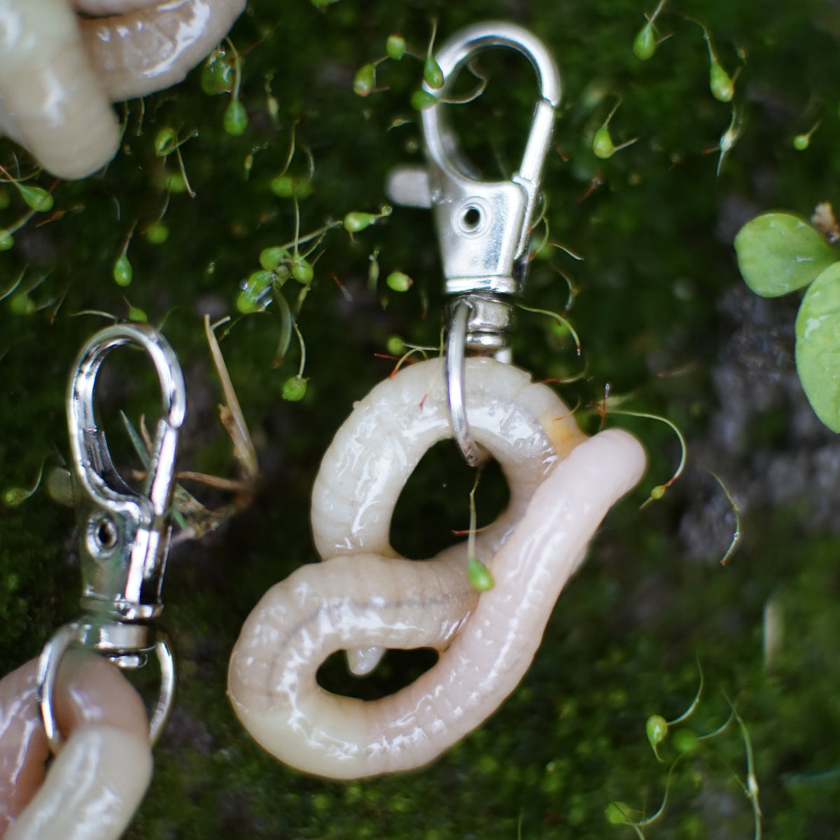 Worm Keychain