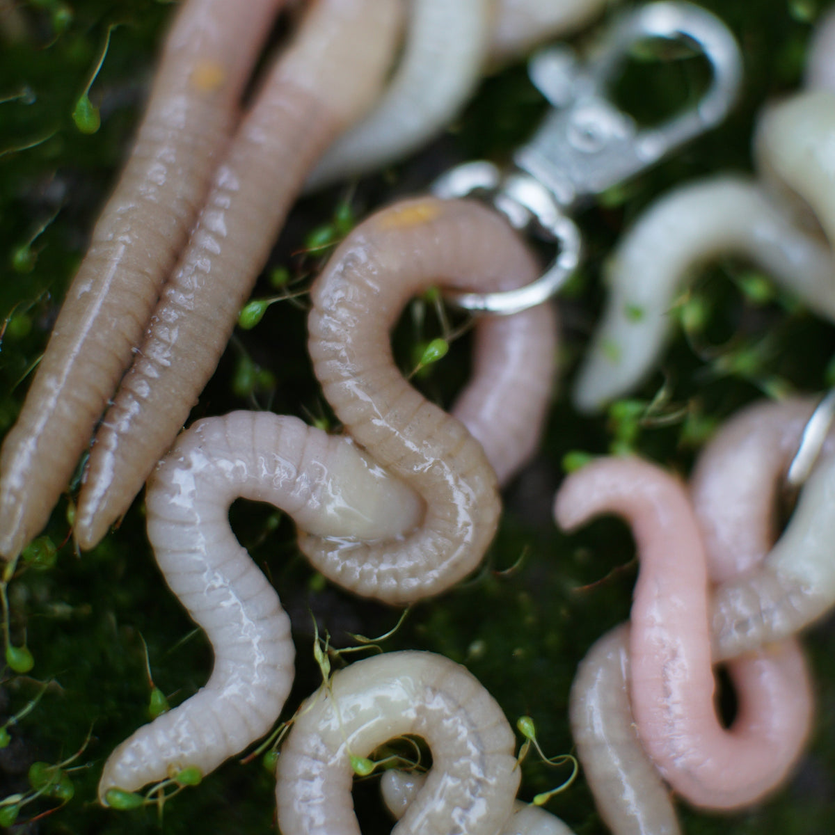 Worm Keychain