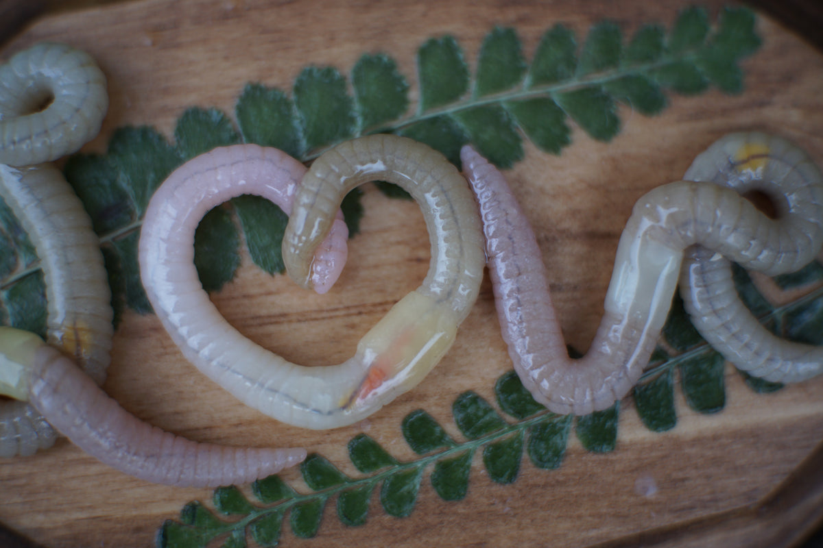 "Love" Plaque