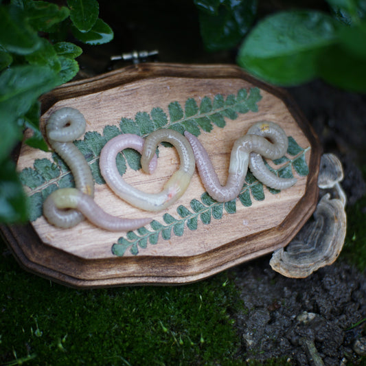"Love" Plaque