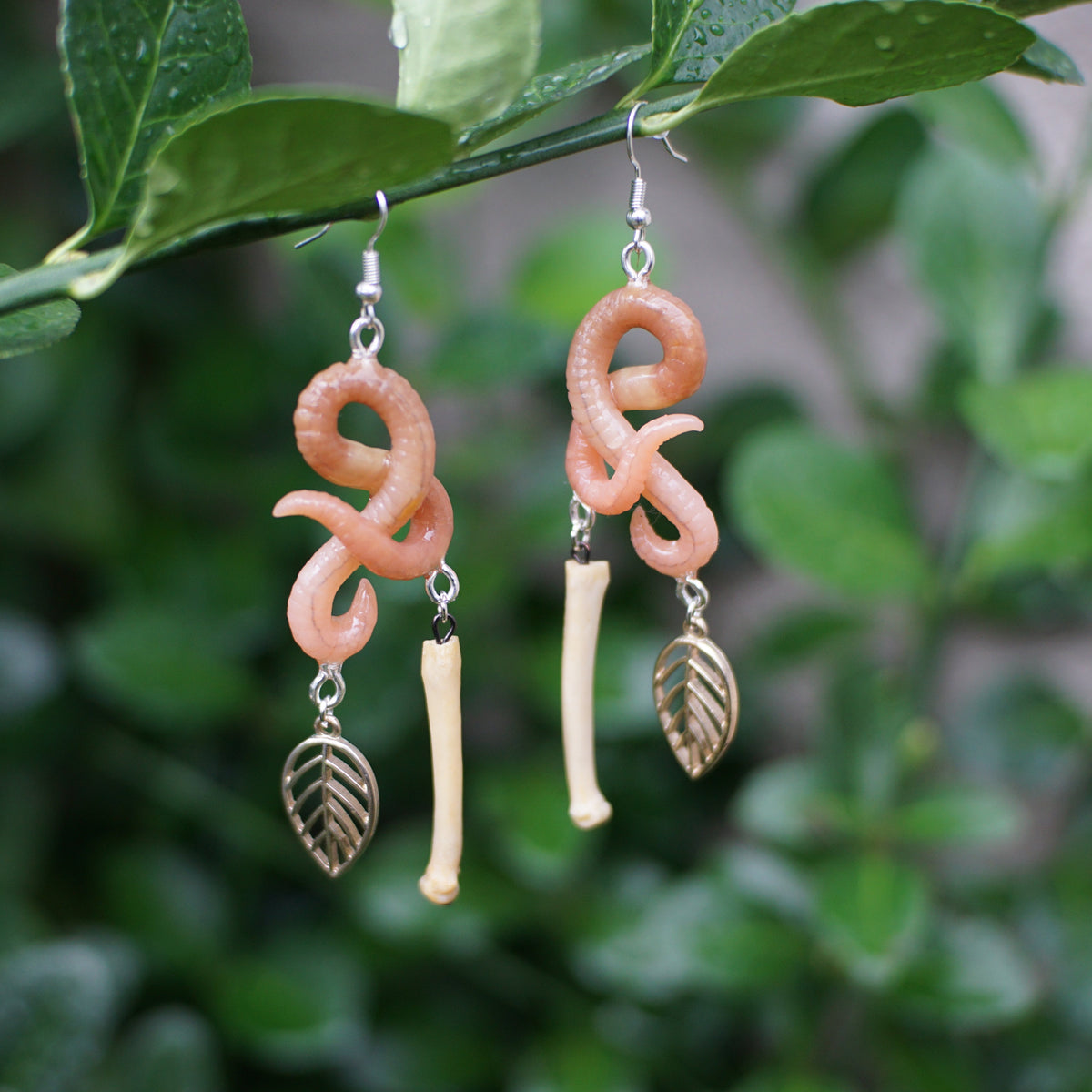 Bone Worm Earrings